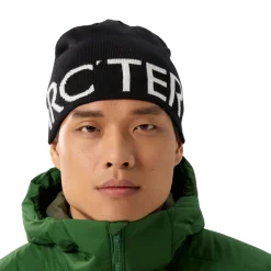ARCTERYX Arc'teryx Word Head Toque, hue (Orca)