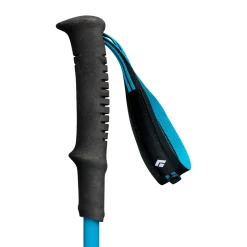 BLACK DIAMOND Distance Carbon FLZ vandrestave 110 - 125 cm (Desert Sky) New