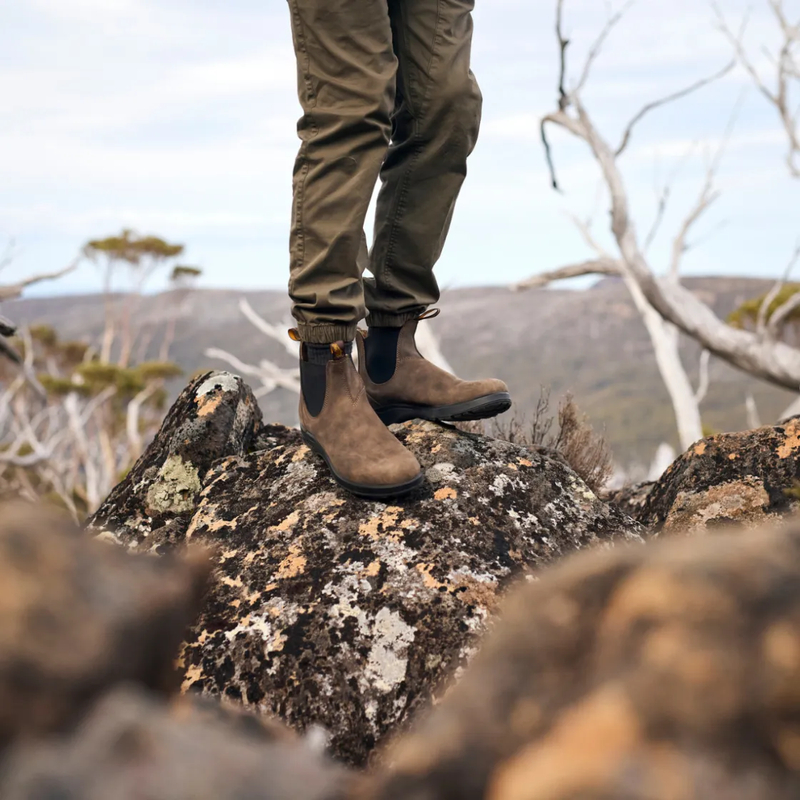 BLUNDSTONE 2056 All Terrain Chelsea Boot (Rustic Brown) Sale