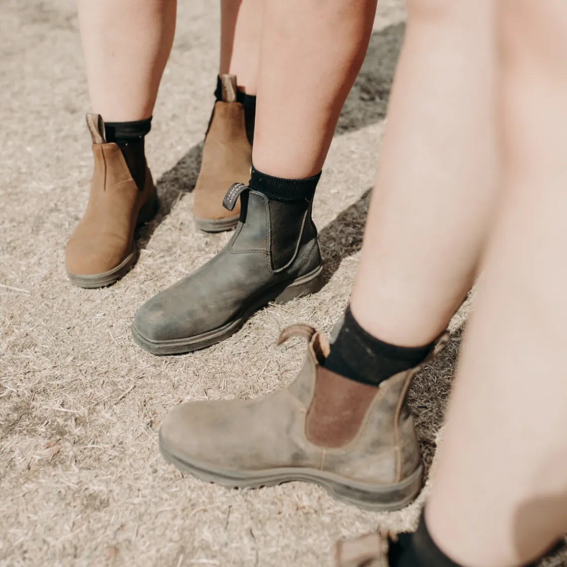 BLUNDSTONE 550 Classics Chelsea Boot (Wallnut Brown) Clearance