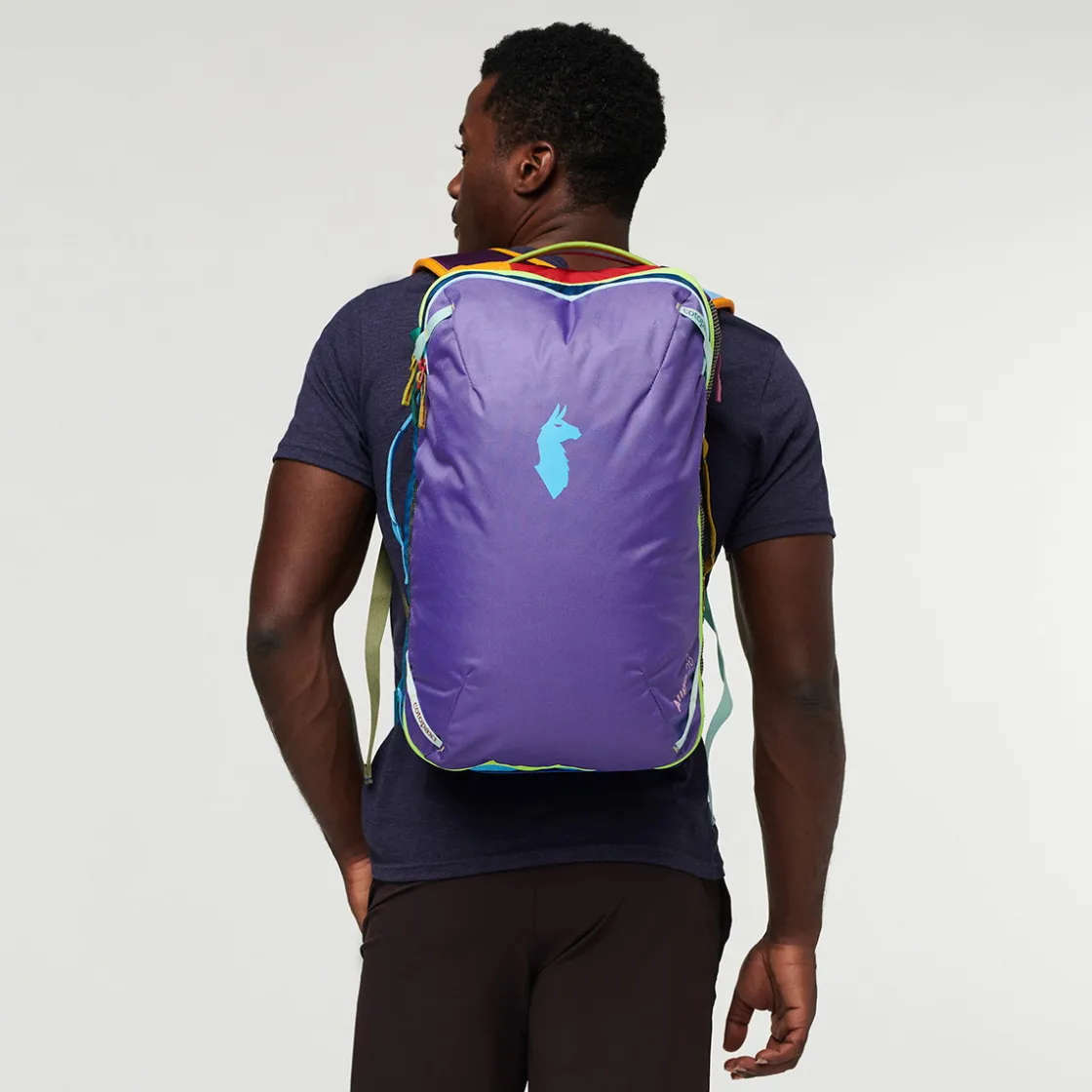 COTOPAXI Allpa 28L Travel Pack (Del Dia) Best