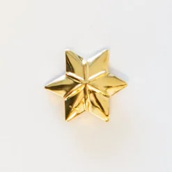 DEGRØNNEPIGESPEJDERE De grønne pigespejdere Årsstjerne 25 år - Guld Best