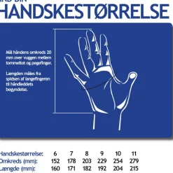 HESTRA Touch Point Active linerhandsker Outlet