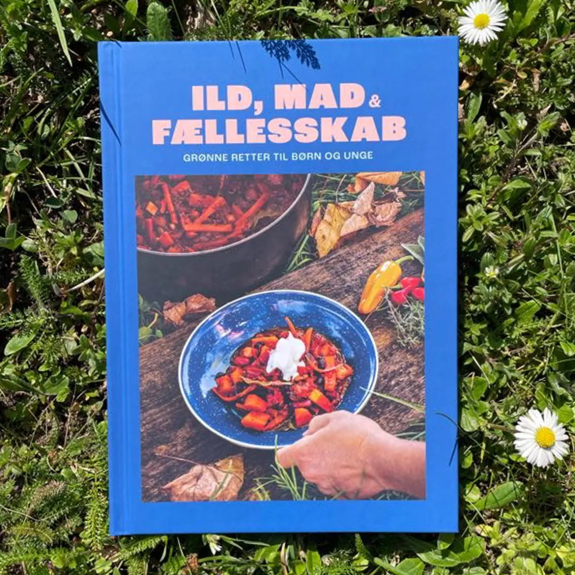 DDS Ild, Mad og Fællesskab - kogebog til bålmad og grønne retter Best