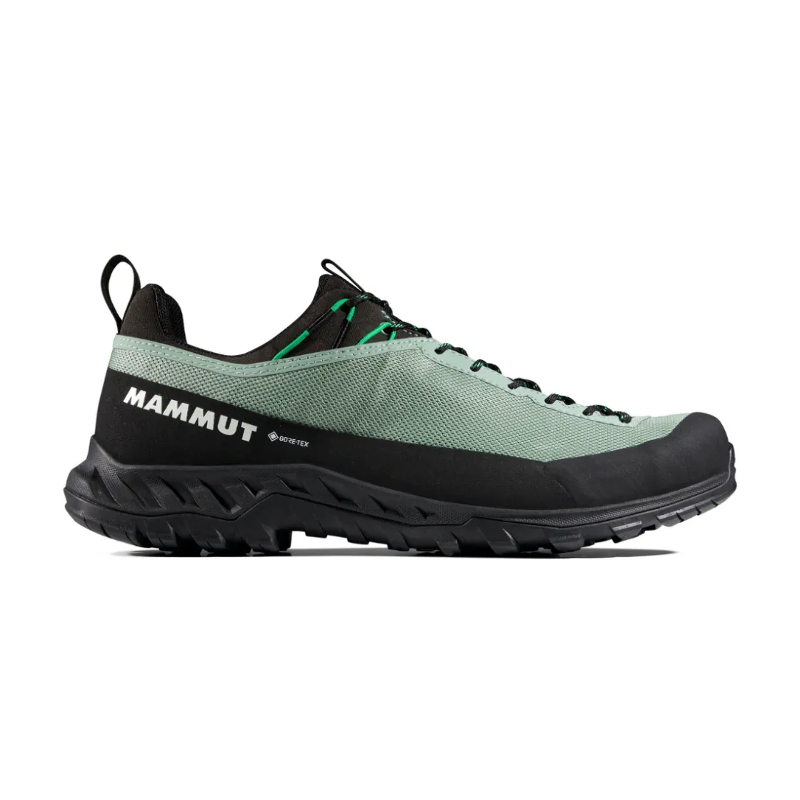 MAMMUT Alnasca IV Low GTX approachsko, herre (Deep Silver Sage / Pinea) Hot