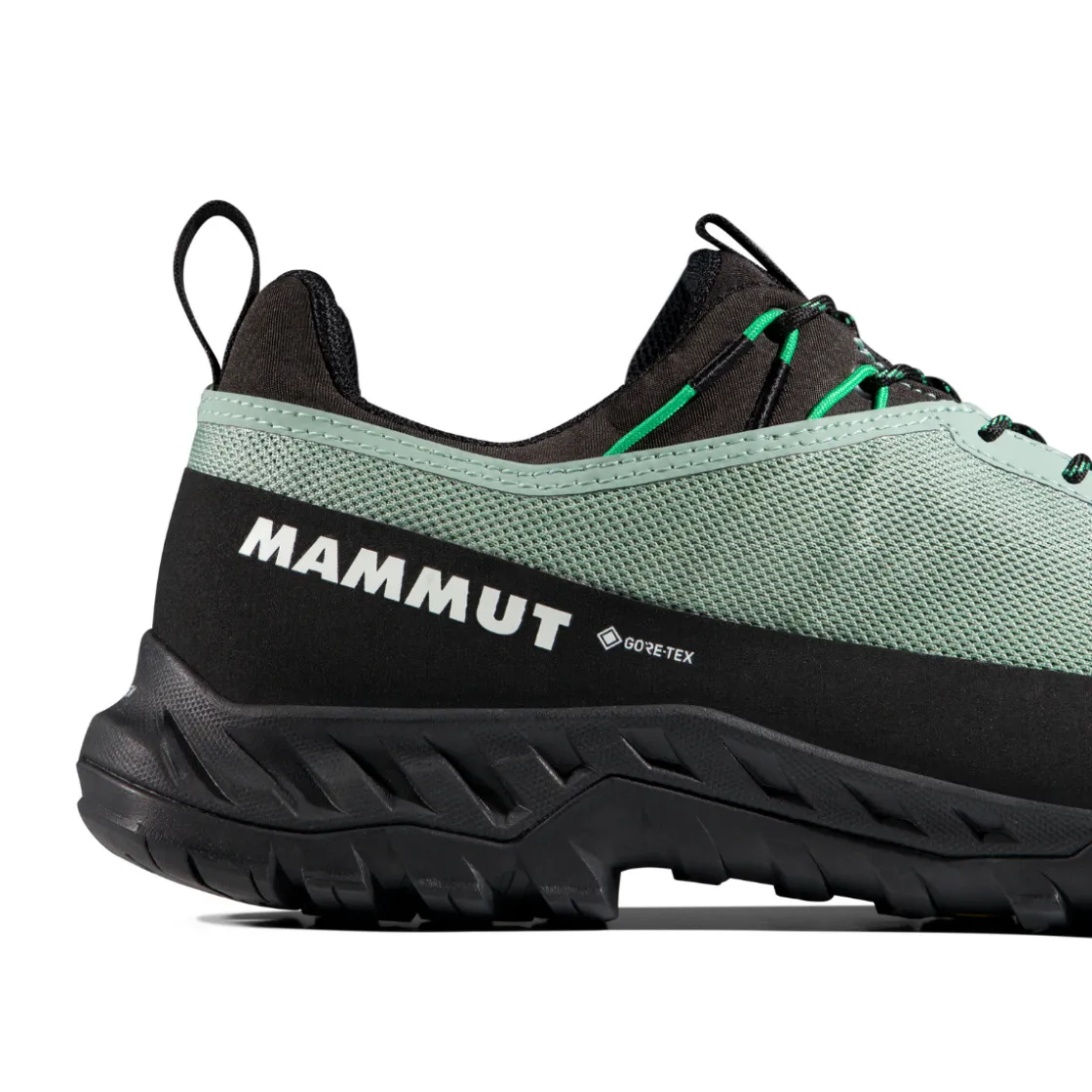 MAMMUT Alnasca IV Low GTX approachsko, herre (Deep Silver Sage / Pinea) Hot
