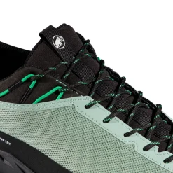 MAMMUT Alnasca IV Low GTX approachsko, herre (Deep Silver Sage / Pinea) Hot