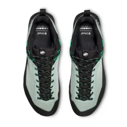 MAMMUT Alnasca IV Low GTX approachsko, herre (Deep Silver Sage / Pinea) Hot