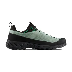 MAMMUT Alnasca IV Low GTX approachsko, herre (Deep Silver Sage / Pinea) Hot