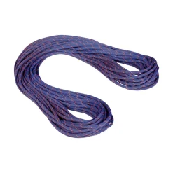 MAMMUT Crag Sender Dry klatrereb / 9.0mm 60m Best