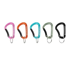 MAMMUT Mini Carabiner Classic Keylock S Outlet