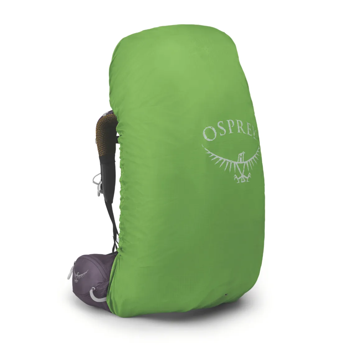 OSPREY Aura AG 65 L vandrerygsæk, dame (Enchantment Purple)