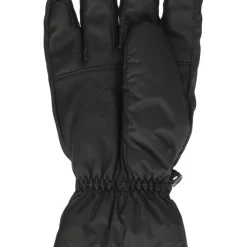 ZANIER Matrei GTX Skihandsker (Black) Discount
